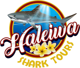 Haleiwa Shark Tours